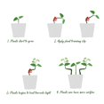 thumbnail image 3 of Pinzas de entrenamiento Plant Bender LucyPhy, paquete de 90 unidades, con ángulo ajustable, 3 of 7