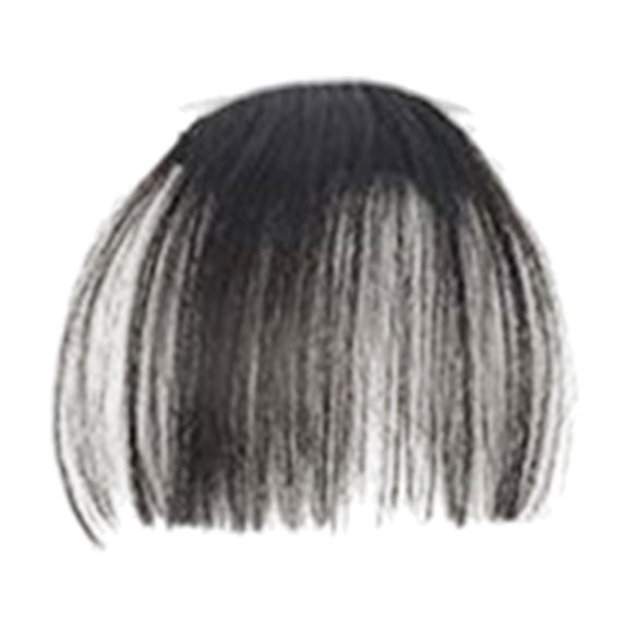 LEHOZIHEQ Clip in Bangs, Princess Cut Bangs Hair Piece, with Temples Flat Neat Bangs Hair Extension Clip on Bangs for Women, Real Human Hair Clip in Bangs for Women(B)