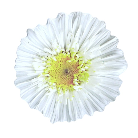25 Sheets Flowers Shape Designs Note Pad Auto Sticking Memo Pad Pad Notes Pad Auto-Adhesive Notepads