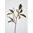 thumbnail image 3 of 28" Faux Magnolia Leaf Branch Stem, 3 of 7