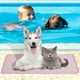 thumbnail image 5 of Alfombrilla refrescante para mascotas (perros y gatos) | Almohadilla de seda helada para mascotas | Manta refrescante lavable para cama, sofá, asiento de coche, suelo, 5 of 8