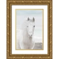 thumbnail image 1 of Murdock, Ramona 23x32 Gold Ornate Wood Framed with Double Matting Museum Art Print Titled - Wild and Free II, 1 of 4