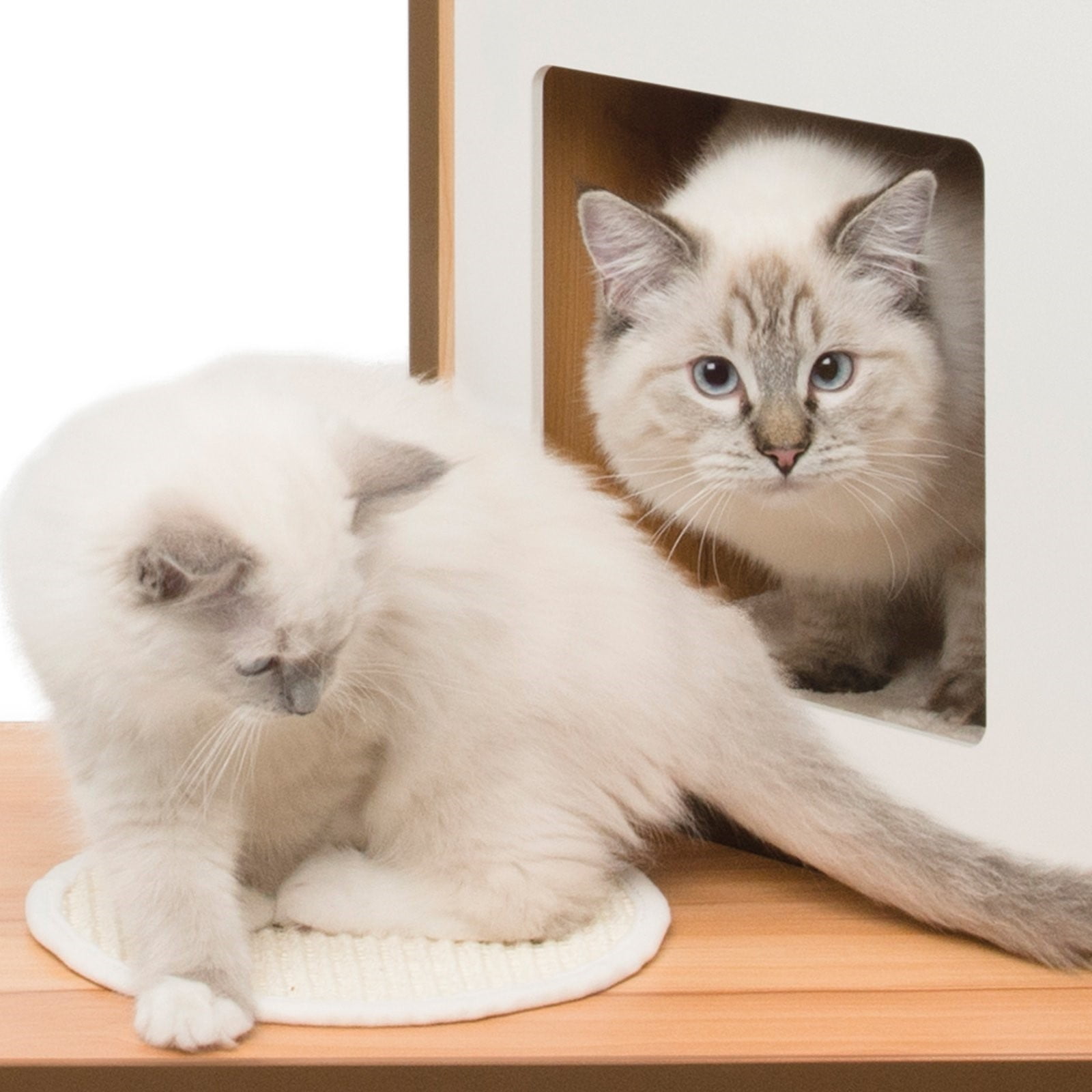 vesper double cat tree