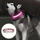 thumbnail image 3 of Dublin Dog todos los estilos collar de perro inodoro, 3 of 5
