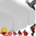thumbnail image 1 of 10 Pzs Picos Anti Trepado Aves Palomas Y Gatos,10pcs-Transparent, 1 of 10