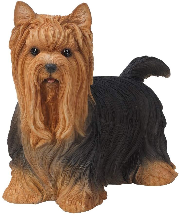 Realistic Life Size Yorkshire Terrier Yorkie Statue Detailed Sculpture
