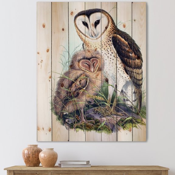 Designart 'Ancient Birds I' Traditional Print on Natural Pine Wood