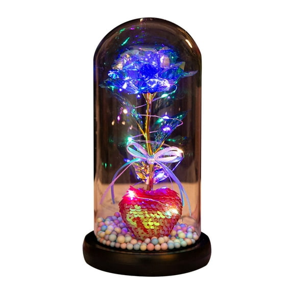 Nmdmisc Eternal Rose Gift for Women,Light Up Rose in Glass Dome,Led Rose Night Light,Valentine's Day Christmas Birthday Gifts for Wife Daughter Sister Friend
