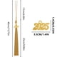 thumbnail image 3 of pstuiky Borla de birrete de graduación de 2025, birrete de graduación, doctorado, presidente, mentor, accesorios de ropa, percha, 3 of 5