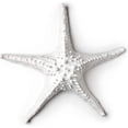 thumbnail image 1 of Abbott 20-SEASHORE/25 WHT Collection 3D Starfish, White (Large), 1 of 7