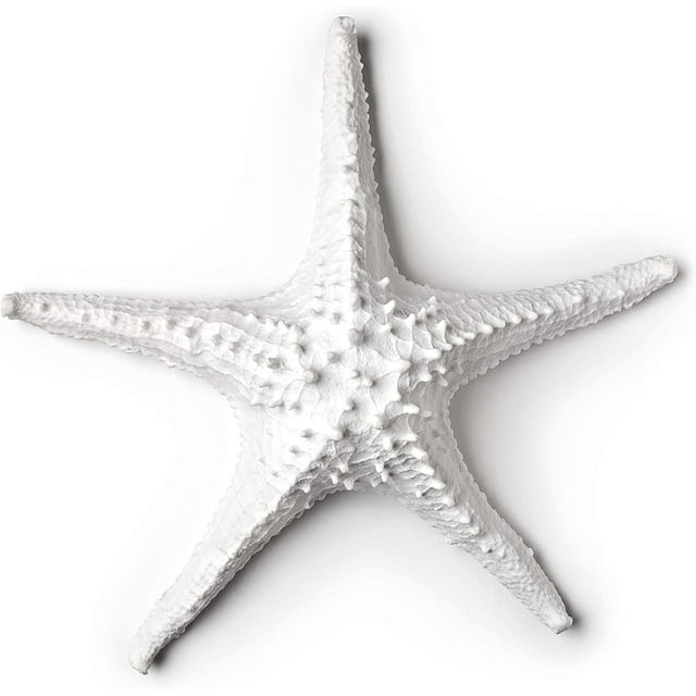 Abbott 20-SEASHORE/25 WHT Collection 3D Starfish, White (Large)