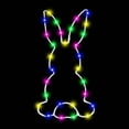 thumbnail image 2 of WWG Easter Bunny LED Window Light Decoration with Remote Control and Timer, 8 Lighting Modes Battery Operated Waterproof Hanging Lights for Indoor and Outdoor Holiday Decor, 2 of 4