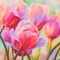 thumbnail image 2 of Ann, Cynthia 12x12 Gold Ornate Wood Framed with Double Matting Museum Art Print Titled - Tulips in Wonderland I, 2 of 4