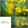 thumbnail image 3 of K&F CONCEPT 67mm Ultra Slim Multi Coated MC UV HD Lens Filter Compatible with Canon Nikon Sony DSLR Camera Lens, 3 of 7