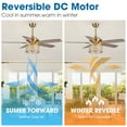 thumbnail image 6 of Parrot Uncle 52 inch Gold Chandelier Crystal Ceiling Fan with Lights and Remote Control, 5 Blades, Indoor, 6 of 13