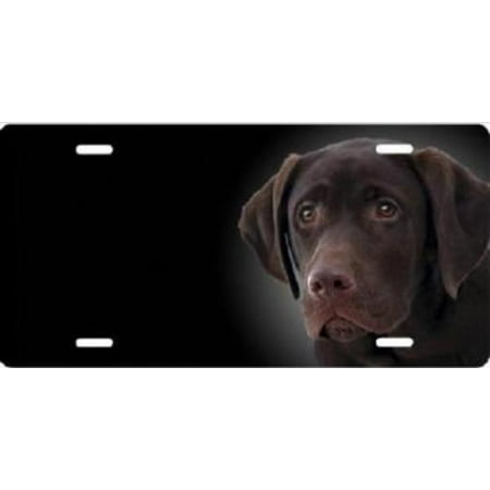 Chocolate Lab Airbrush License Plate Free Names on this Air