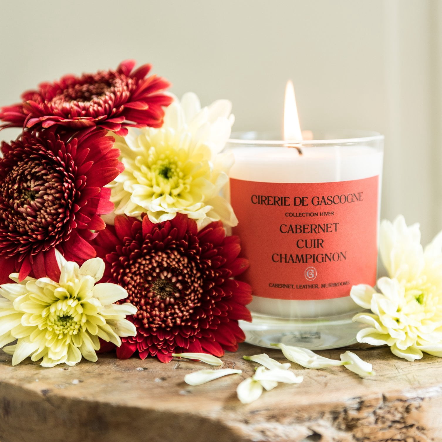 Cirerie de Gascogne Black Garlic, Malbec, Prune Blend Candle, Cirerie de Gascogne Scented Candle in Orange, Handmade Candle in Glass Jar Ail Noir, Malbec, Pruneaux