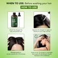 thumbnail image 4 of Botanic Hearth 100% Pure Tea Tree Oil For Hair Growth | Infused with Jojoba & Grapeseed Oils | Hair Oil Repairs Dry Damaged Hair, Strengthening, Healthier - Hair Tonic, 2.0 fl oz, 4 of 9