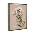 thumbnail image 3 of Stupell Industries Boneset Flower Sprig Nature Botanical & Floral Painting Gray Floater Framed Art Print Wall Art, 3 of 6