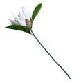 thumbnail image 4 of Tela de seda Flor falsa Oficina en casa Decoración floral Fiesta Ceremonia Flor artificial Fotografía Prop, Blanco Advancent HA6650-01B, 4 of 6