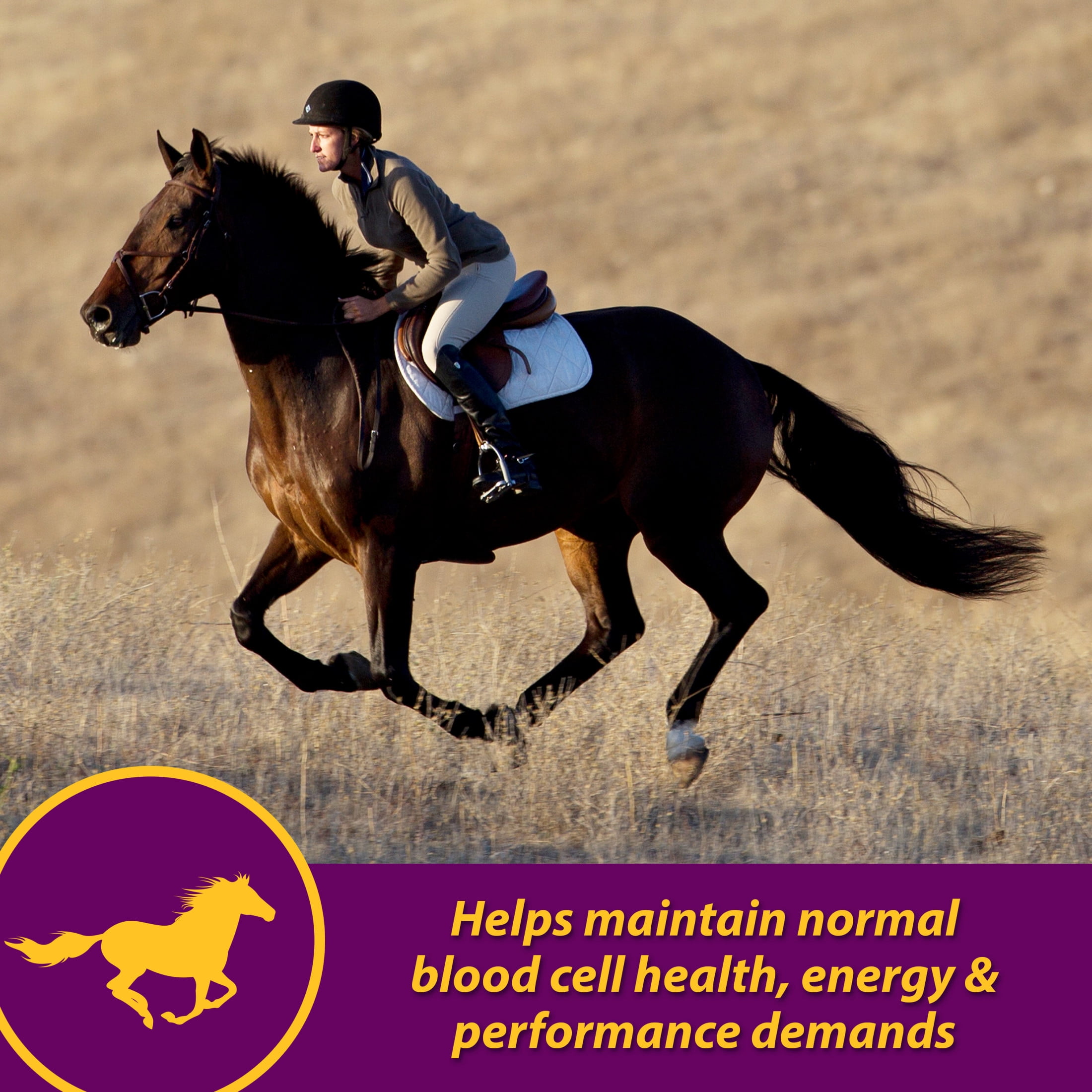 (4 pack) Horse Health Red Cell Vitamin-Iron-Mineral 32 oz 16 Day Supply