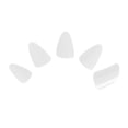 thumbnail image 1 of Weiweiguan 5Pcs Lute Nails Professional Grade Examination Performance Grade Nylon Lute Nails, 1 of 6