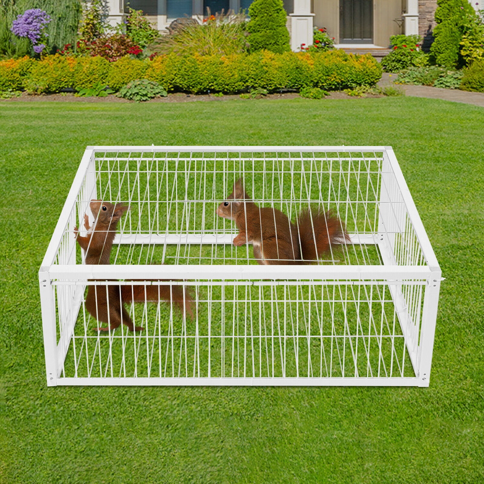 4 Holes Iron Quail Feeder Pigeon Dove Bird Outside Of Cage with One-Way Entry