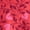 Begonia Pink, variant on Girls Kid Tough Leggings, Sizes 4-18 & Plus