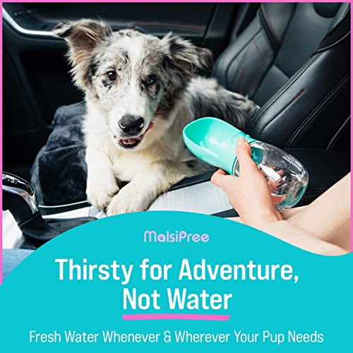 Thirsty dog water bottle outlet