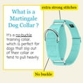 thumbnail image 4 of Country Brook Petz® 1 1/2 inch Light Cyan Martingale Heavyduty Nylon Dog Collar, Large, 4 of 7