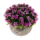 thumbnail image 5 of Planta Artificial En , Faux Plástico Falso Melaleuca Bonsai interior y exterior Hogar Jardín Oficina Boda Decoración Para -13cm / 5.12 '' - Púrpura Colco Flor en maceta de Gypsophila falsa, 5 of 8