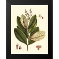 thumbnail image 2 of Vision Studio 15x18 Black Modern Framed Museum Art Print Titled - Buchoz Leaves IV, 2 of 5