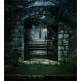 thumbnail image 3 of Gothic Duvet Cover Set, Image of the Door of a Dark Old Haunted House Cemetery Dead Myst Fiction Art Print, Decorative 3 Piece Bedding Set with 2 Pillow Shams, King Size, Green Grey, by Ambesonne, 3 of 3