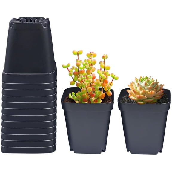 50 Pcs Square Nursery Pots Black Starter Container Nursery Plant Pot, Seedling Nursery Transplanting Planter for Flower, Succulent, Herb, Small Potted Plants,2.2 inch
