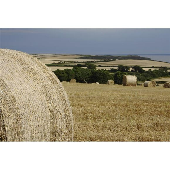 Posterazzi DPI1900529LARGE Straw Bales In A Field In East Cork In Munster Region - Guileen, County Cork, Ireland Poster Print, 38 x 24 - Large