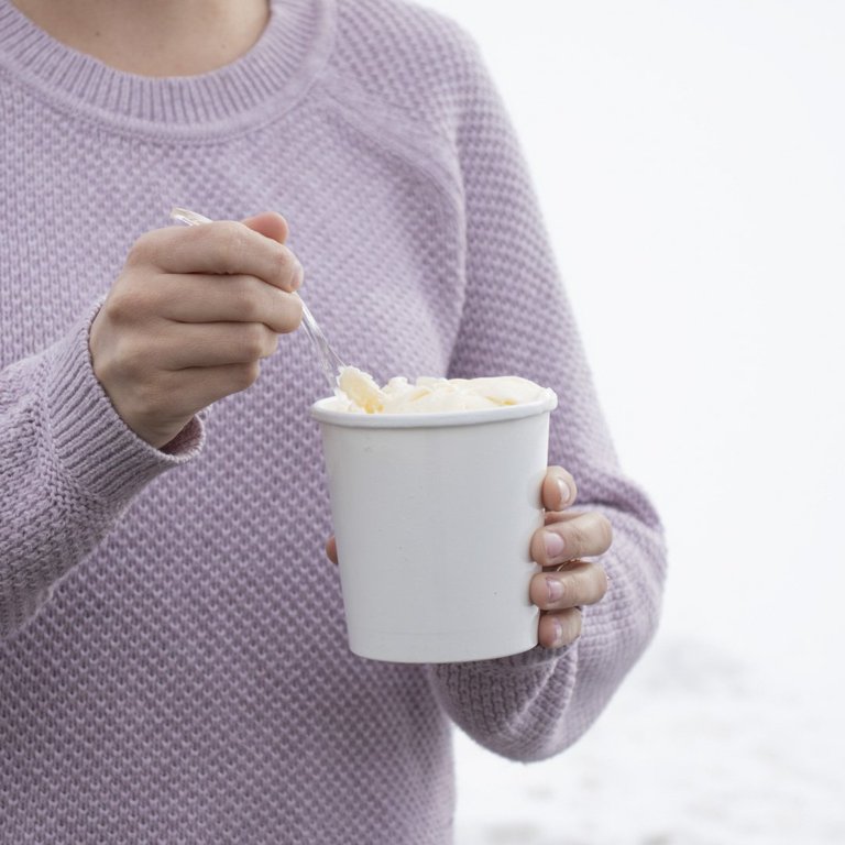 8 oz Ice Cream Containers  Non-Vented Lids - Frozen Dessert Supplies