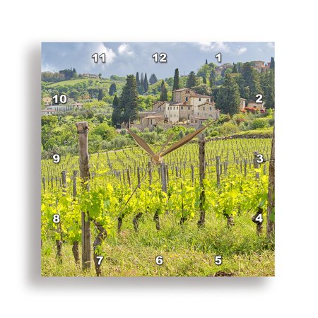 3dRose, Italy, Tuscany, Panzano. Spring green of the vineyards., 15x15 Wall Clock