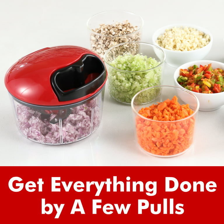 Geedel Manual Vegetable Chopper, Stainless Steel Blade, Fast Chopping and  Easy Cleaning, Dishwasher Safe, Mince & Chopper