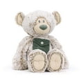 thumbnail image 2 of DEMDACO Pocket Prayer Teddy Bear Soft Grey 16 inch Plush Fabric Stuffed Animal Toy, 2 of 6