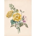 thumbnail image 2 of James Ackerman 15x18 Black Ornate Wood Framed Double Matted Museum Art Print Titled - Hollyhock and China Rose (1847), 2 of 5
