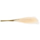 thumbnail image 1 of Fake Pampas Grass Pampas Grass Decor for Home Decor 10Pcs Artificial White Plants, 1 of 5
