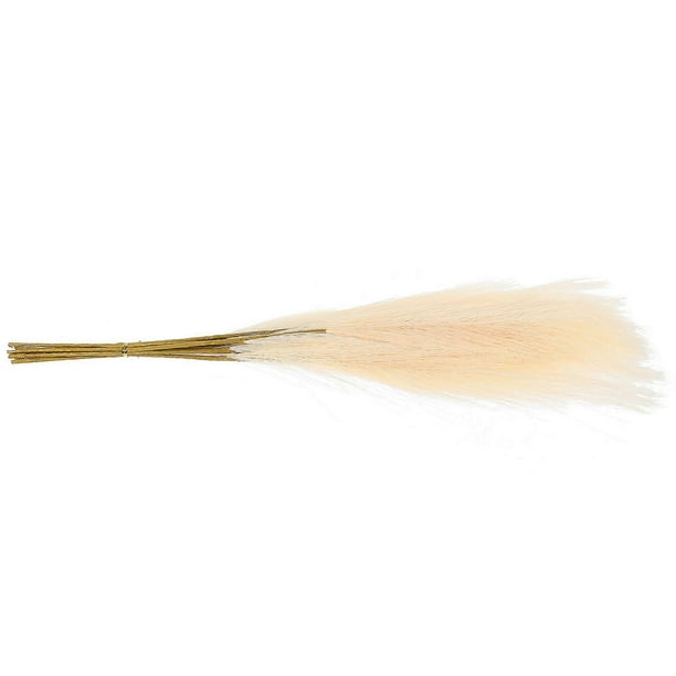 Fake Pampas Grass Pampas Grass Decor for Home Decor 10Pcs Artificial White Plants
