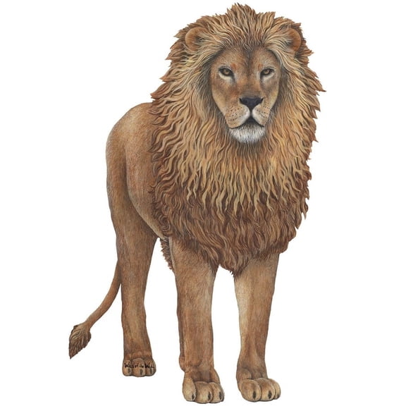 Walls of the Wild Lion Wall Decal Sticker