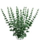 thumbnail image 1 of Arreglo floral de hojas de eucalipto de 38 cm con forma de dinero, planta verde de simulación amazónica, decoración de interiores, flor falsa, 1 of 6