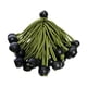 thumbnail image 2 of 20 piezas de cuerdas elásticas para pelotas de ejercicio, repuesto para lonas de lona Verde, 2 of 9