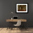 thumbnail image 4 of Francesco Maestosi 24x19 Black Modern Framed Museum Art Print Titled - Hall of the Iliad in the Pitti Palace, Florence (C. 1870), 4 of 5