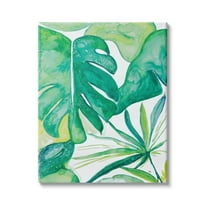 Stupell Industries Green Tropical Palms Monstera Plants Jungle Foliage, 24 x 30, Design by Kat Papa