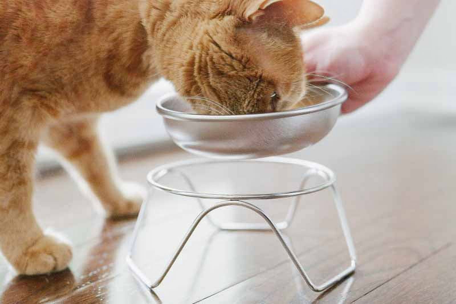Raised Cat Bowl Stand for Food & Water by Americat – Made in USA – Stainless Steel, Spill-Proof Elevated Feeder, Dishwasher Safe, Human Grade, Whisker Friendly
