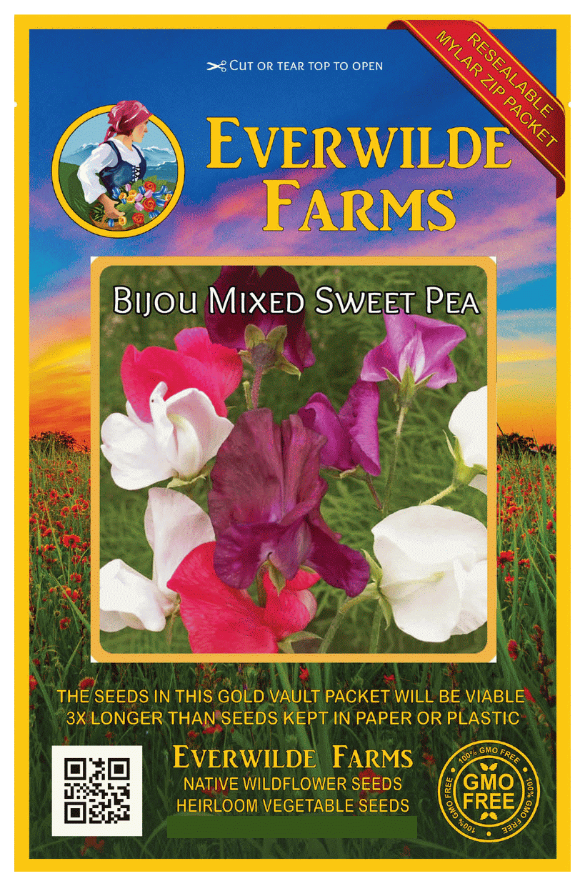 Everwilde Farms - 50 Knee High Mixed Sweet Pea Garden Flower Seeds Gold Vault Jumbo Bulk Seed Packet Everwilde Farms - 50 Knee High Mixed Sweet Pea Garden Flower Seeds Gold Vault Jumbo Bulk Seed Packet
