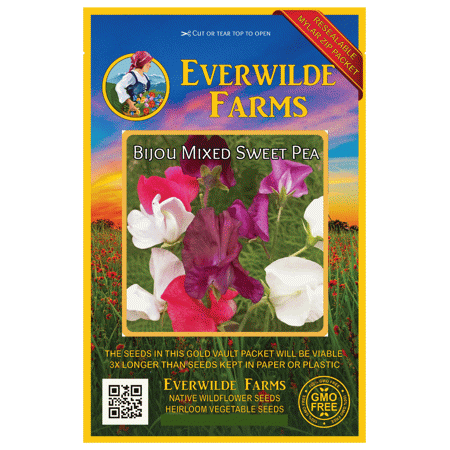 Everwilde Farms - 50 Bijou Mixed Sweet Pea Garden Flower Seeds - Gold Vault Jumbo Bulk Seed